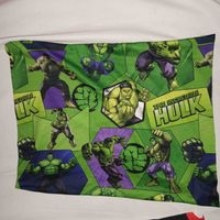 Fundas para almuada pequeña para niño y nicña..De Hulk y de Mini mouse...Uno de niña y uno de Niño image
