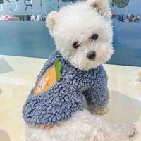 Suéter de lana para perro image