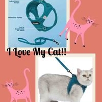 Arnés para gato Voyager image