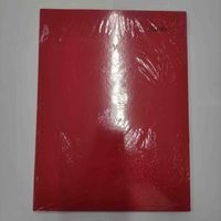 Carpeta de plástico roja (paquete con más colores)  image