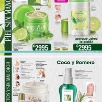 Exfoliante de Lima y Menta image